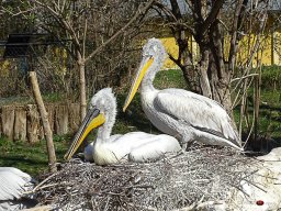 Tiergarten Schönbrunn am 23.03.2023